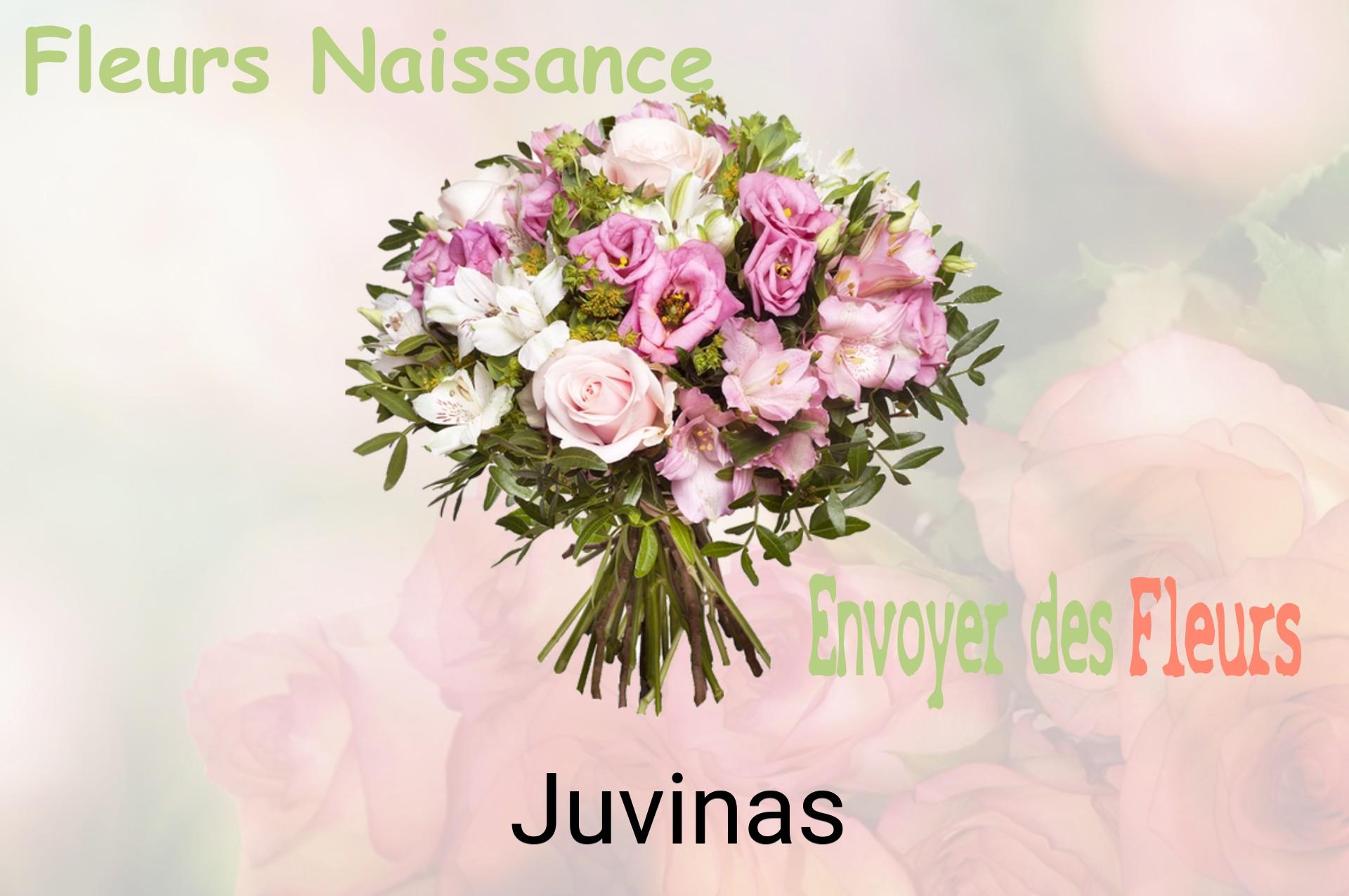 Bouquet de fleurs de naissance livré à Juvinas